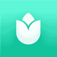 PlantIn: 植物の識別と手入れ