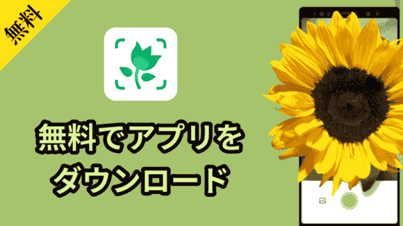 cn.danatech.xingseus