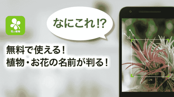 jp.co.aainc.greensnap